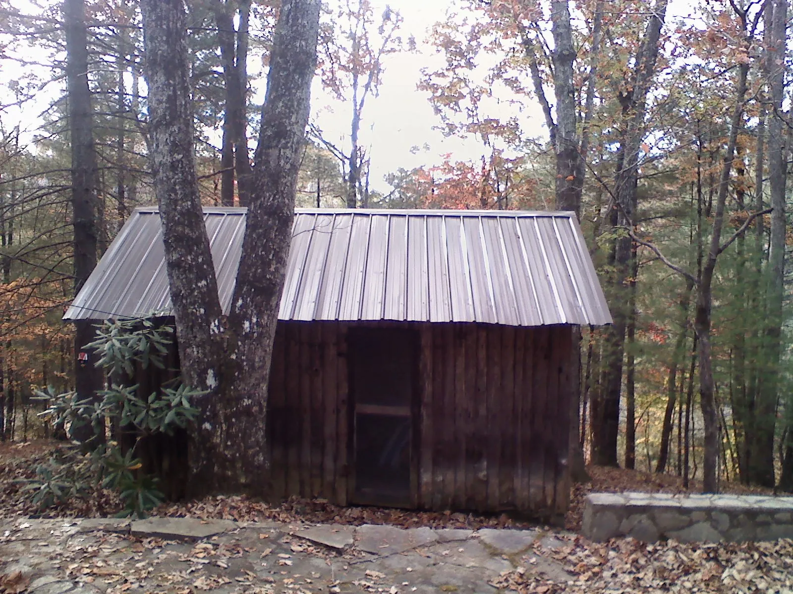 New metal gable roof on a small log shed among the trees in Rhodhiss